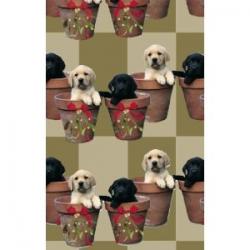 Christmas Luxury Wrapping Paper ~ Labradors in Pots