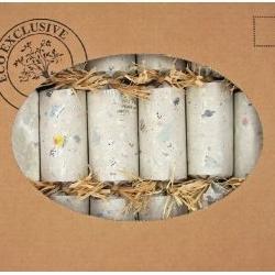 Christmas Crackers ~ Eco Friendly Recycled Rustoc Crackers