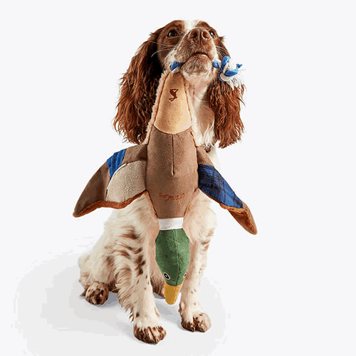. Joules Plush Printed Duck Dog Toy
